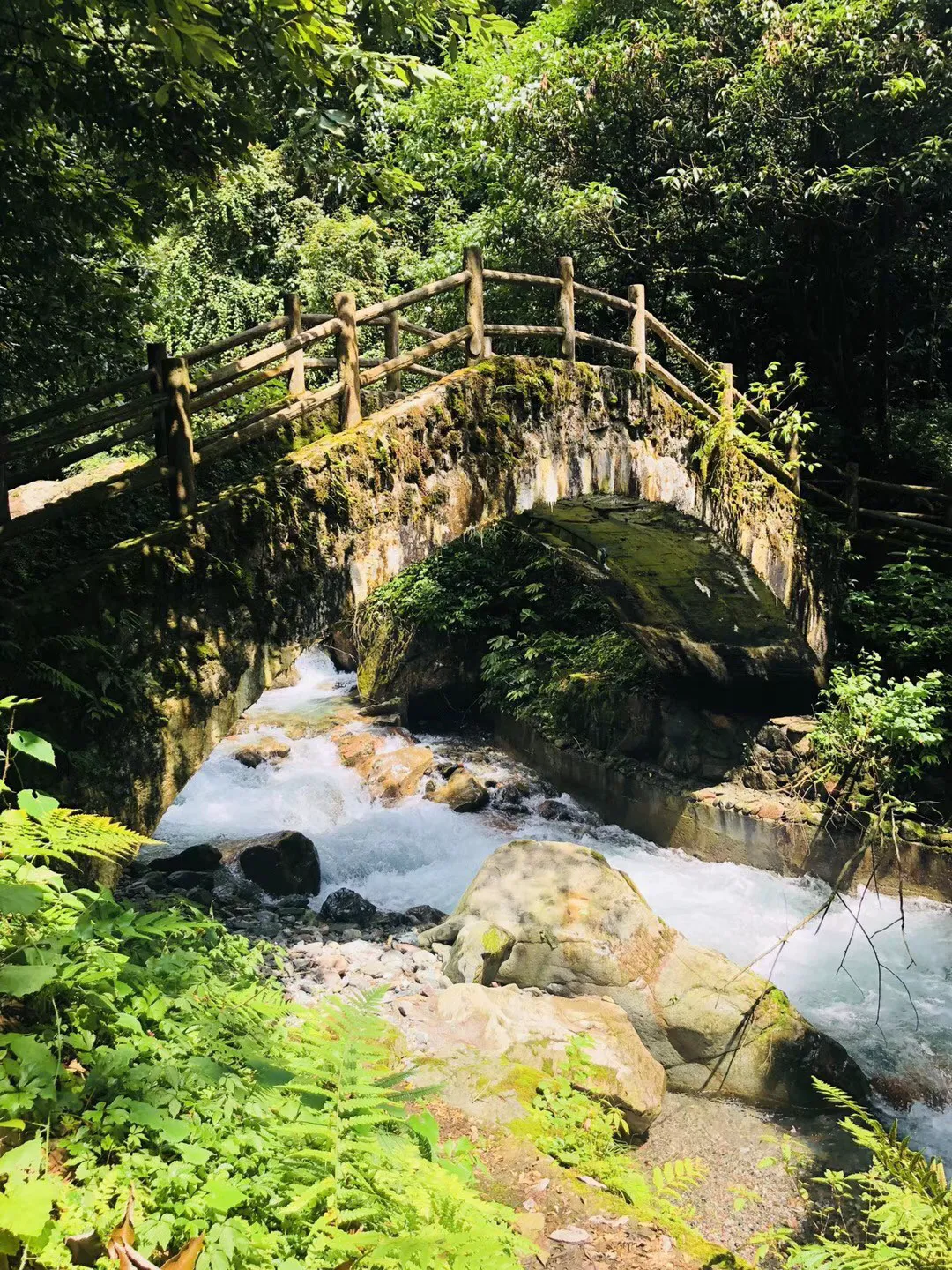 三星希望击败苹果,将非侵入性血糖监测仪引入智能手表和其他设备